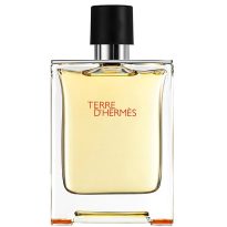 ادو تویلت مردانه هرمس مدل Terre De Hermes حجم 100 میلی لیتر